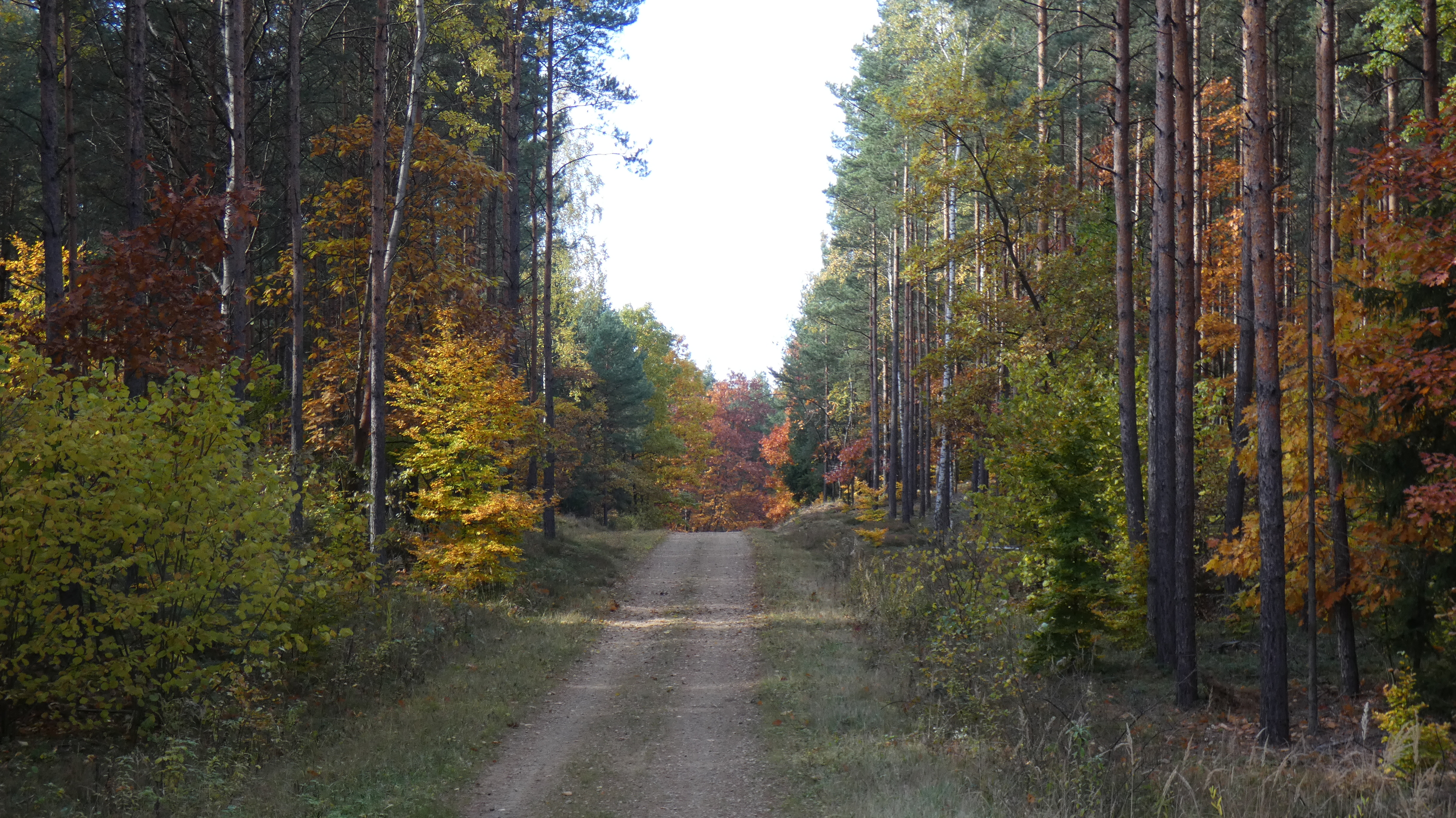 p1170336.jpg